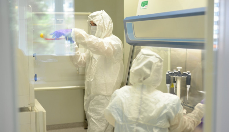 Ohnisko koronaviru na Novoborsku. Českolipský okres je na tom aktuálně nejhůř z celé země