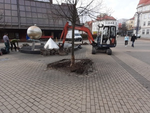 Zelenější centrum Liberce. Před kulturákem vysadí dvanáct platanů