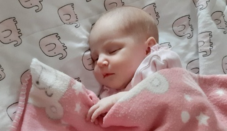 Hlasujte pro drbňátko za měsíc květen