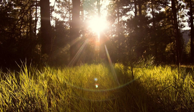 Chladnější jaro než letošní bylo v Česku naposledy v roce 1987