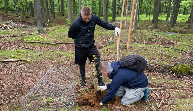 Milujeme Jizerky. Dva kluci z Jablonce se pustili do sázení stromů, chtějí zachovat hory dalším generacím