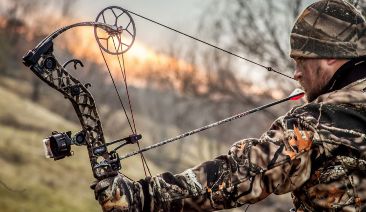 Obránci zvířat upozorňují na problémy spojené s lovením zvěře lukem. O novele zákona se rozhodne zítra