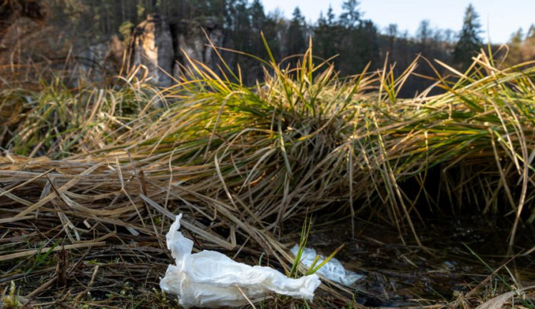 Český ráj trpí pod výkaly turistů. Odnést nebo zahrabat, radí nová kampaň