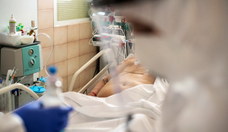 V Libereckém kraji po tři čtvrtě roce není ani jeden hospitalizovaný s covidem