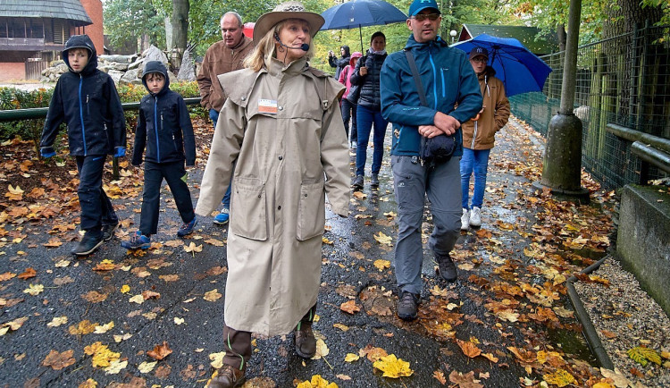 Co se děje v zoo? Zahrada na léto připravila komentované prohlídky