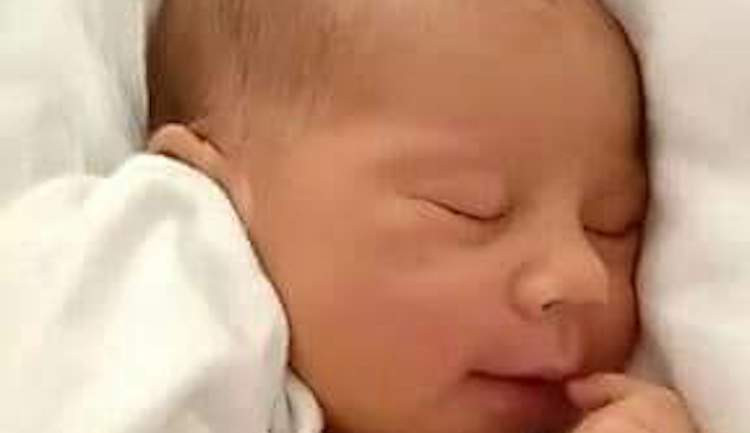 Hlasujte pro drbňátko za měsíc červen