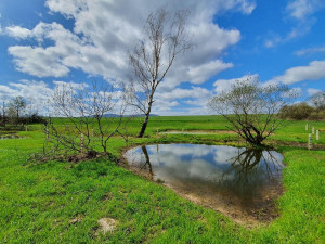 Na čtyřech pětinách území Česka je více vody než je obvyklé