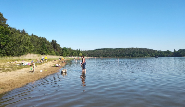 Sinice po přívalových deštích zhoršily kvalitu vody v Hamerském jezeře