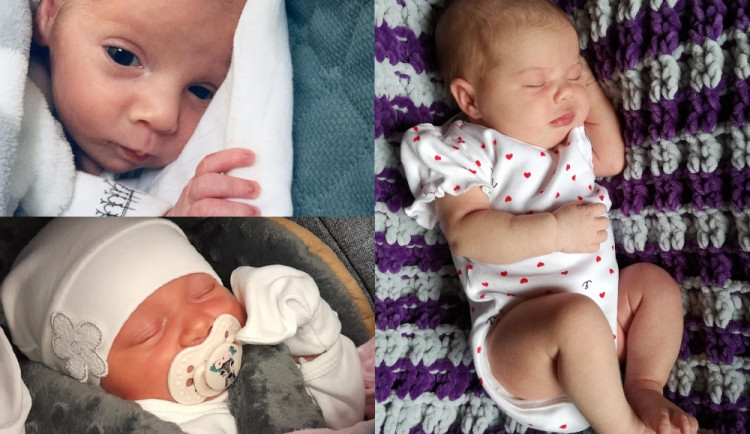 Hlasujte pro drbňátko za měsíc červen