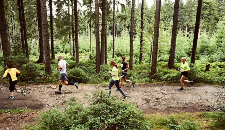 V zimě na běžkách, v létě po svých. Letní Jizerská 50 RUN je za bukem