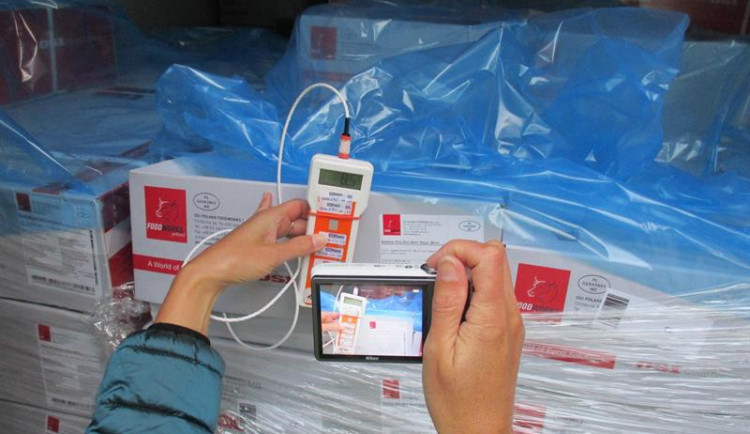 Celníci u Malé Skály odhalili polské auto s více než třemi tunami nevhodně převáženého maso