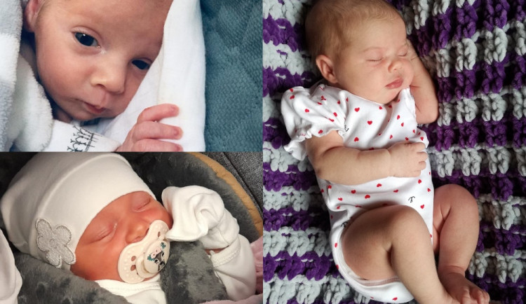 Hlasujte pro drbňátko za měsíc srpen