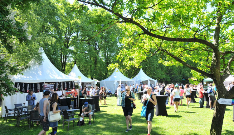 Na co se těšit na Fresh festivalu? Odpoví Festivalová abeceda