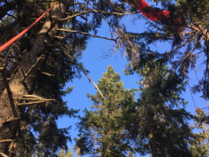 Horští záchranáři pomáhali paraglidistce v Krkonoších, spadla do korun stromů