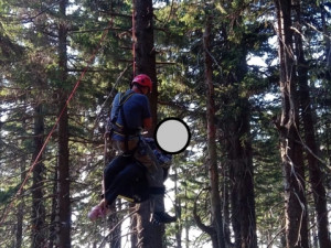Horští záchranáři pomáhali paraglidistce v Krkonoších, spadla do korun stromů