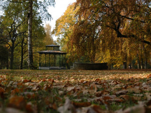Jak se promění městský park v České Lípě? Město si nechá zpracovat studii