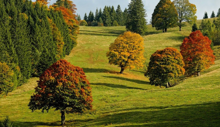 První podzimní víkend bude vysloveně letní. Naměříme až 25 stupňů
