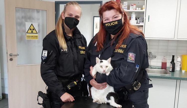 Policistkám na silnici překážel pytel zavázaný drátem. Byl v něm živý kocour