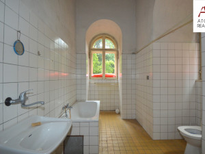 Wolkerovo sanatorium je na prodej. Cenovka tajemné lesní vily je čtyřiadvacet milionů