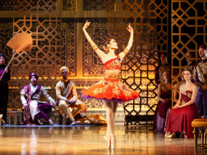 Bajadera, foto Aleš Kočíb