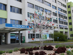 Českolipská nemocnice se snaží dohnat skluz způsobený covidem, zatím se jí to nepodařilo