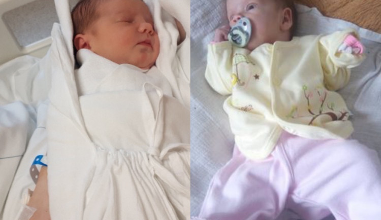 Hlasujte pro drbňátko za měsíc září