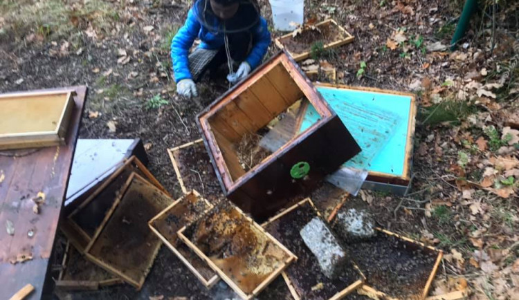 Zimu nedají, smutní včelař. Někdo mu zničil úly, pachatele hledá policie