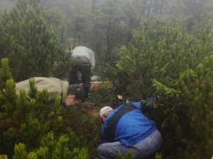 JJH spolek slaví 25 let. Obnovuje vyhlídky i rašeliniště, sjezdovku na Ještědu odsuzuje