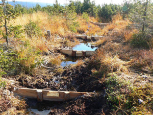 JJH spolek slaví 25 let. Obnovuje vyhlídky i rašeliniště, sjezdovku na Ještědu odsuzuje