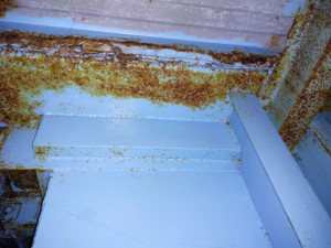 Opravte bazén na Františkově, chce petice. Podepsaly ji už stovky lidí