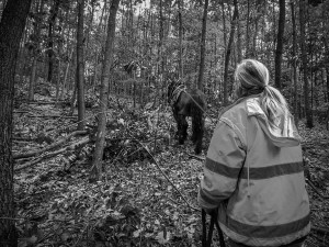 Do lesa ji přivedla láska ke koním. Koňáci stahující dřevo jsou vymírajícím druhem, říká Veronika Králová