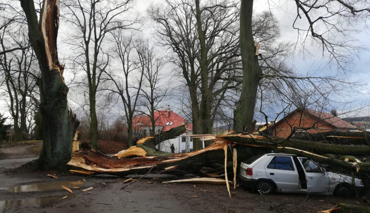 Meteorologové varují. Ve čtvrtek dorazí silný vítr