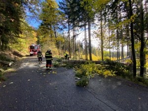 Silný vítr láme stromy. Frýdlantsko je bez proudu, vlak narazil do stromu