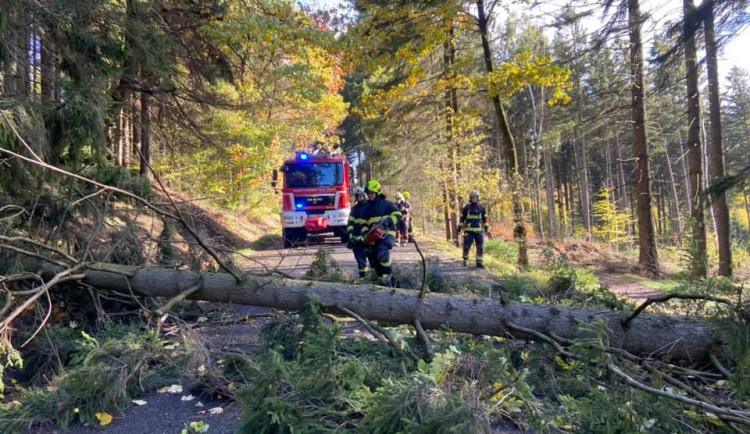 Silný vítr láme stromy. Frýdlantsko je bez proudu, vlak narazil do stromu