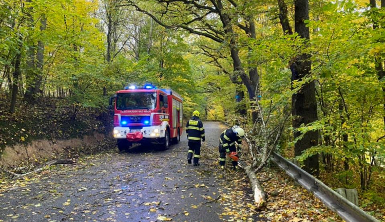 Stovky popadaných stromů, tisíce lidí bez proudu. Škody po vichru se z velké části podařilo odstranit