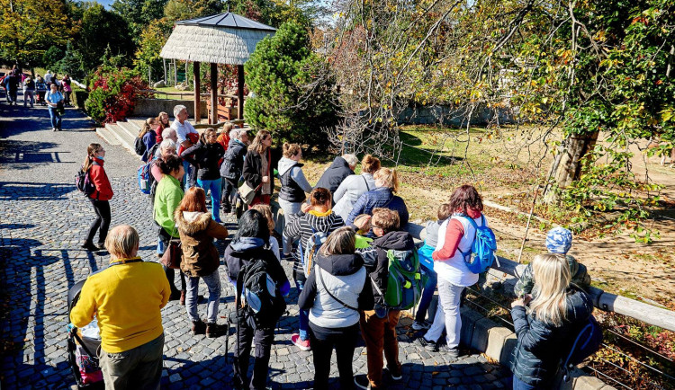Neschváleno, zoo zatím zůstává městu. Zastupitelé se dohadovali, koalice pak neměla dost hlasů na schválení