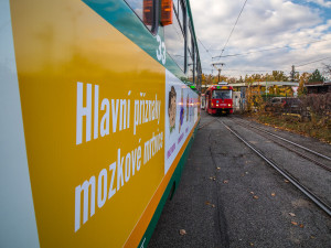 Mrtvici mnoho lidí nepozná, přitom při záchraně jde o minuty. Liberečáky na to upozornila tramvaj