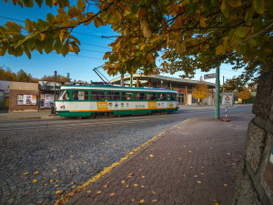 Mrtvici mnoho lidí nepozná, přitom při záchraně jde o minuty. Liberečáky na to upozornila tramvaj