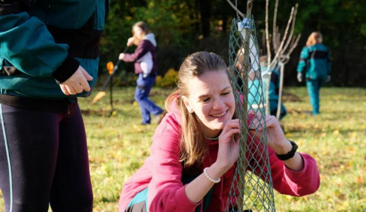 Ve Frýdlantu vysadili jabloňový sad. Pečovat o něj budou studenti