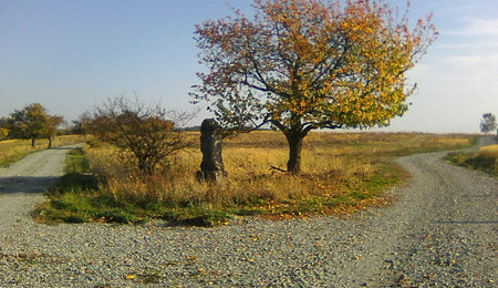 Alej vzpomínek Ralsko