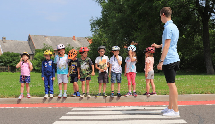 Zebra se rozhlížela v Libereckém kraji