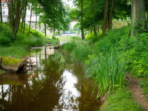 Revitalizovaný náhon v Semilech může inspirovat ostatní. Zabodoval v prestižní soutěži