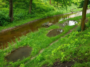 Revitalizovaný náhon v Semilech může inspirovat ostatní. Zabodoval v prestižní soutěži