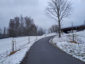 Liberec má nové aleje. Stromy vysadili na hřbitově i ve Vesci