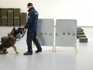 Hala pro kynology, do které se vejde i kamion. Celníci představili nové výcvikové zázemí