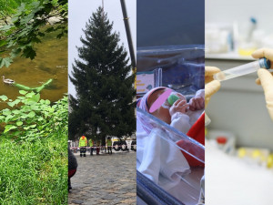 LISTOPAD 2021:  Přečtěte si, co se Liberecké Drbně v listopadu povedlo