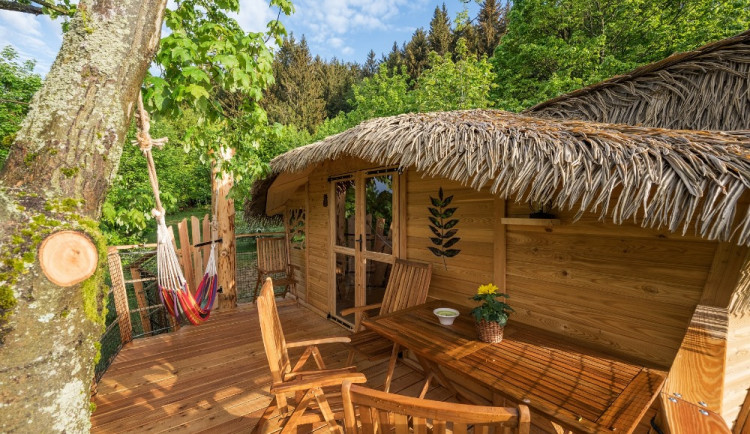 Zážitkové Vánoce: Tipy na dárky, které potěší hned dvakrát