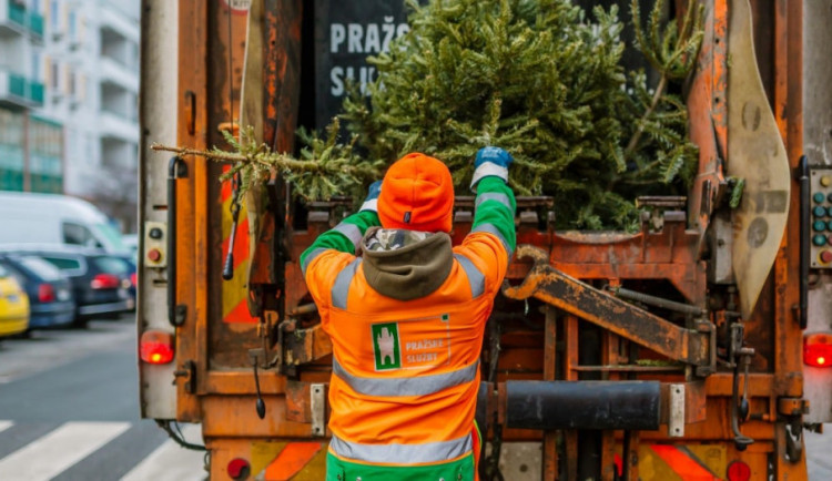 Balicí papír do tříděného odpadu, stromeček k popelnicím. Kam s vánočními odpadky?