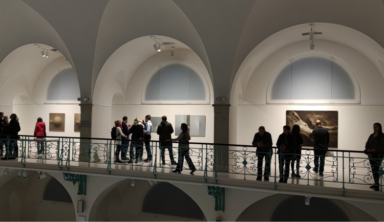 Galerie loni nakoupila dvanáct děl. Vystavuje je na mimořádné přehlídce