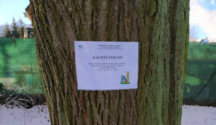 Změna po kritice kvůli kácení. Město začalo stromy označovat cedulemi